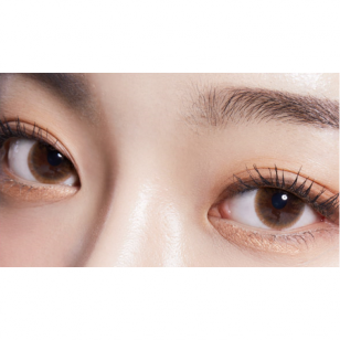 Lens-Town Precollege Brown(月拋)